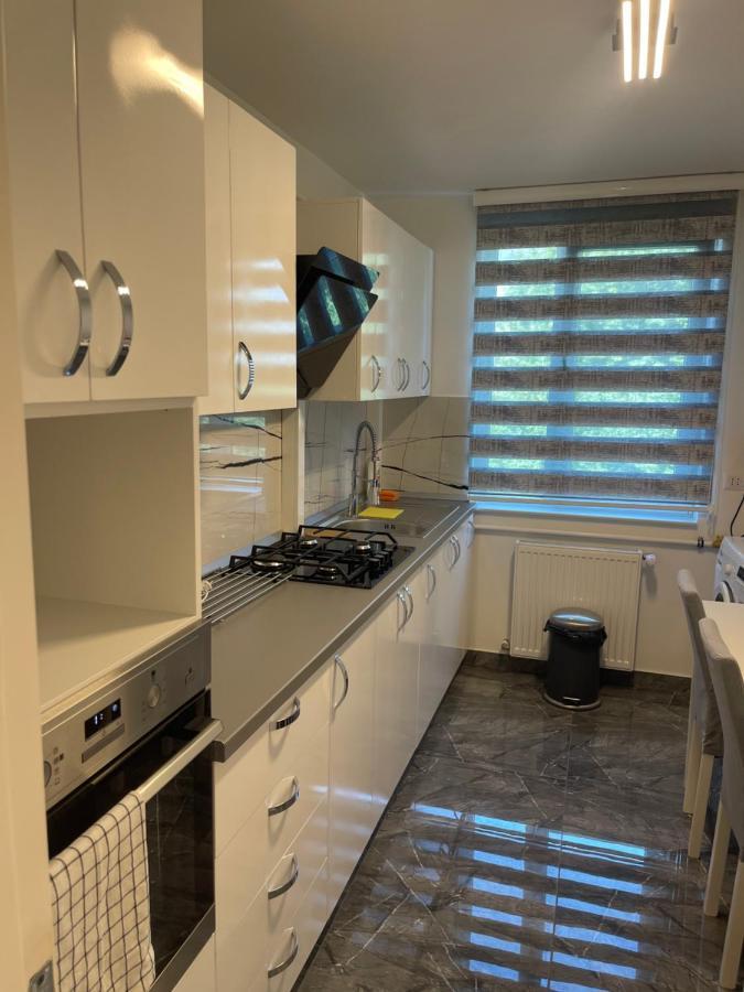 Apartament Incantator In 로만 외부 사진
